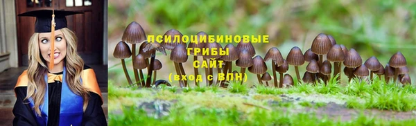 дживик Беломорск