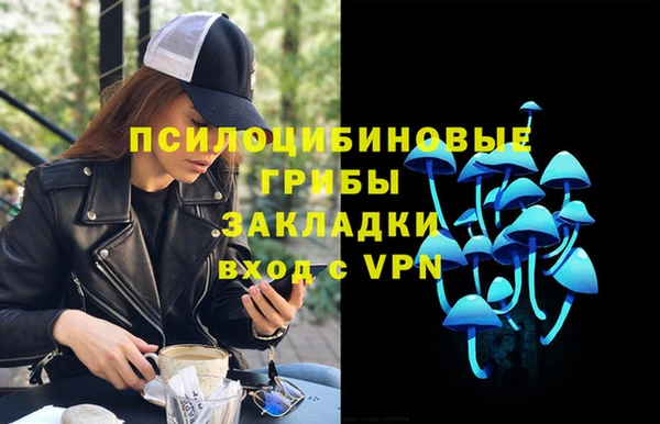 дживик Беломорск
