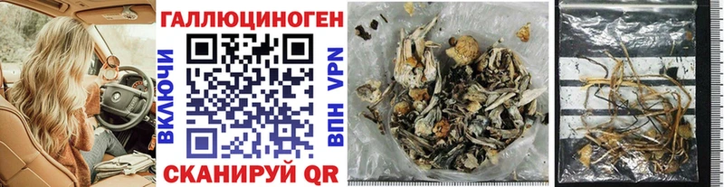 продажа наркотиков  Вяземский  Галлюциногенные грибы Cubensis 